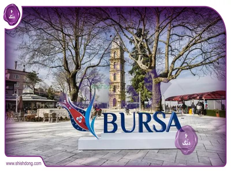 دانشگاه های بورسا: شکوفایی علم و دانش در قلب بورسا