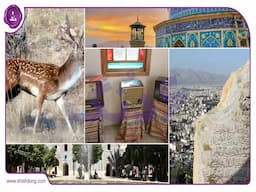 جذابیت محله های پرطرفدار شیراز
