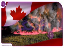 شعله‌های آتش در کانادا، فاتح بازار نفت!