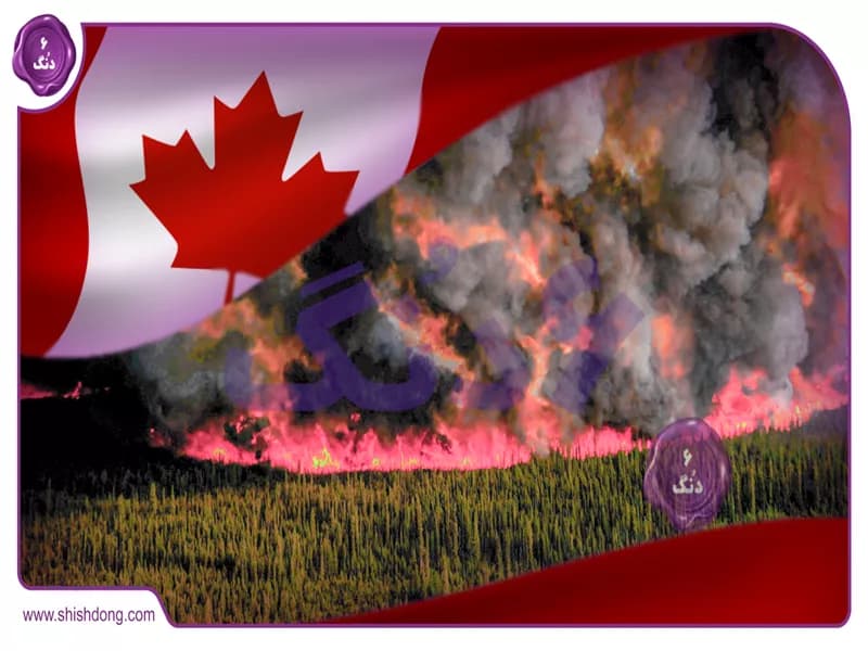شعله‌های آتش در کانادا، فاتح بازار نفت!