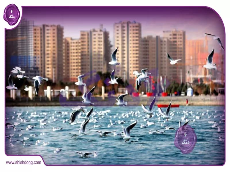 دریاچه شهدای خلیج فارس: نگینی فیروزه‌ای در قلب پایتخت