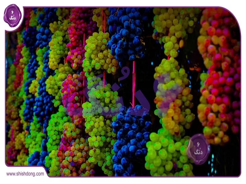 سفری به دنیای انگور ارومیه : خوشه‌های ناب طعمی در دل آذربایجان