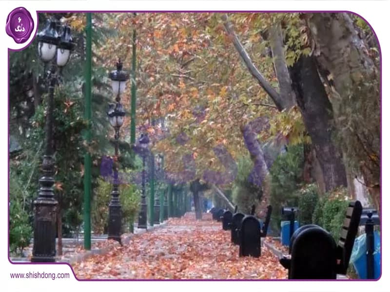 پارک‌ وی، قلب تپنده‌ی شمال تهران