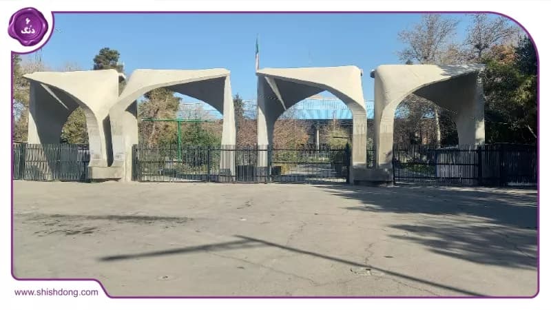 دانشگاه تهران