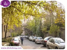 محله چیذر: آرامش و رنگارنگی در قلب شمال تهران