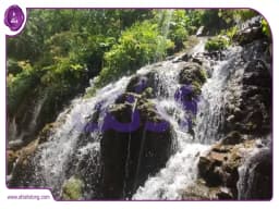 محله حیدرآباد یاقوت سبز شهر کرج در استان البرز محله حیدرآباد یاقوت سبز شهر کرج در استان البرز