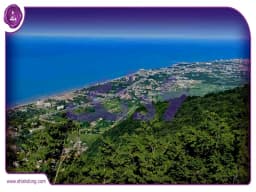 خرید خانه در رامسر || راهنمای جامع برای داشتن خانهای رویایی در دل طبیعت خرید خانه در رامسر || راهنمای جامع برای داشتن خانهای رویایی در دل طبیعت