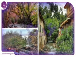 قنبرآباد ساوجبلاغ: راهنمای جامع بازدید از روستایی در دل طبیعت قنبرآباد ساوجبلاغ: راهنمای جامع بازدید از روستایی در دل طبیعت