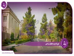 شهرک غرب خیابان درختی: نگینی درخشان در شهرک غرب تهران شهرک غرب خیابان درختی: نگینی درخشان در شهرک غرب تهران