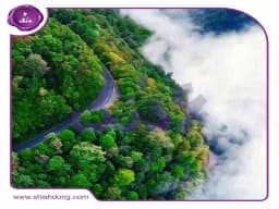 هزینه اقامت در شهرهای شمال کشور هزینه اقامت در شهرهای شمال کشور