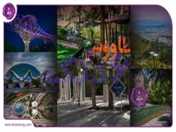 پارک های معروف تهران: سفری در میان ریه های سرسبز تهران پارک های معروف تهران: سفری در میان ریه های سرسبز تهران