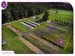 قیمت هر هکتار زمین کشاورزی: سفری در دنیای عوامل تعیینکننده و قیمتهای تقریبی در ایران قیمت هر هکتار زمین کشاورزی: سفری در دنیای عوامل تعیینکننده و قیمتهای تقریبی در ایران