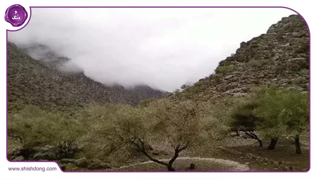 بختگان