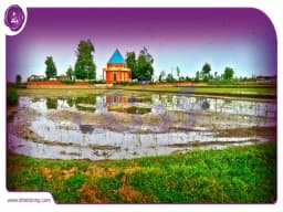 راهنمای جامع خرید، فروش و اجاره خانه در اسکی محله آمل راهنمای جامع خرید، فروش و اجاره خانه در اسکی محله آمل