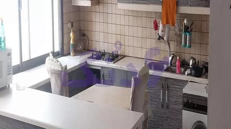 هم خانه میخاستم خانه دارم هم خانه میخاستم خانه دارم