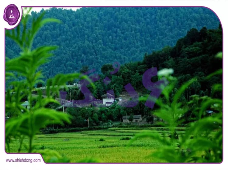 جاهای دیدنی فومن : راهنمای جذاب گردشگری، سوغات و سرمایهگذاری املاک جاهای دیدنی فومن : راهنمای جذاب گردشگری، سوغات و سرمایهگذاری املاک