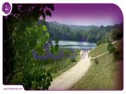 راهنمای جامع خرید خانه در محله بانصرکلا آمل راهنمای جامع خرید خانه در محله بانصرکلا آمل